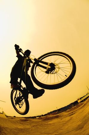 Dirt Jump Bike